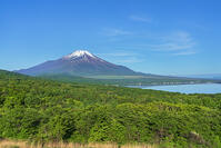 パノラマ台より富士山を望む [OYO110006798]