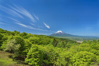 二十曲り峠より富士山を望む [OYO110006801]