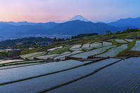 棚田越しに夜明けの富士山を望む [OYO110006806]