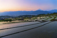 棚田越しに夜明けの富士山を望む [OYO110006807]