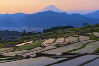 棚田越しに夜明けの富士山を望む [OYO110006809]