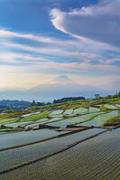棚田越しに富士山を望む [OYO110006814]