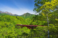 東沢大橋越しに八ヶ岳を望む [OYO110006831]