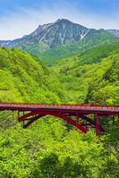 東沢大橋越しに八ヶ岳を望む [OYO110006834]