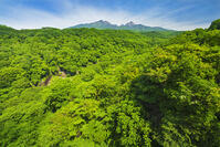 八ヶ岳高原大橋より八ヶ岳を望む　 [OYO110006836]