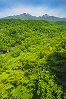 八ヶ岳高原大橋より八ヶ岳を望む　 [OYO110006837]
