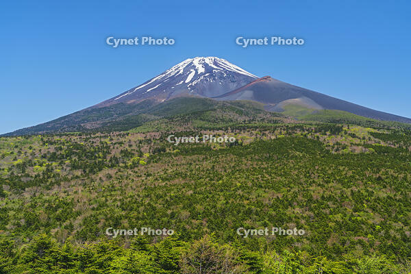 水ヶ塚公園より富士山を望む [OYO110006721]