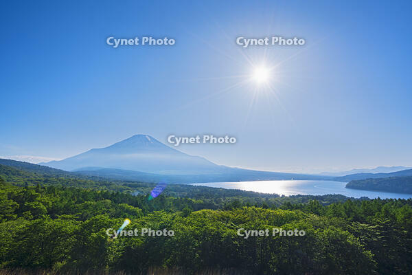 パノラマ台より富士山の夕景を望む [OYO110006756]