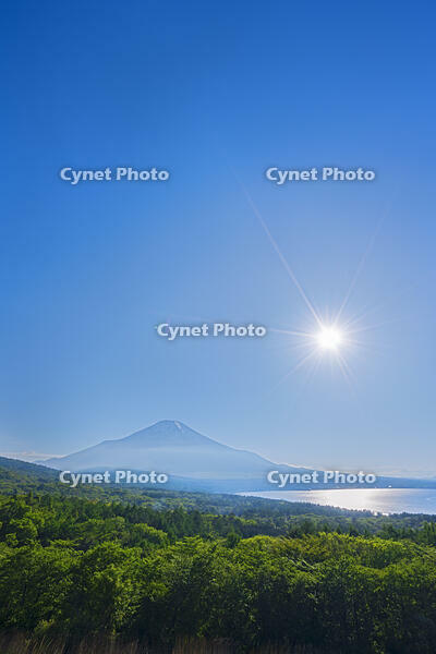 パノラマ台より富士山の夕景を望む [OYO110006757]