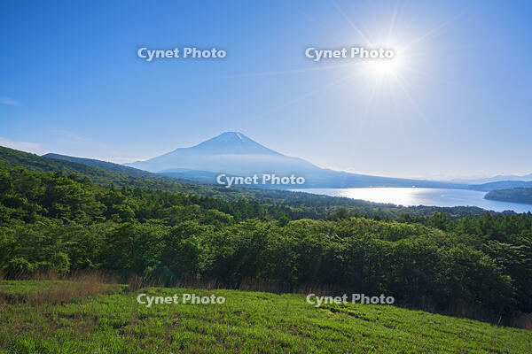 パノラマ台より富士山の夕景を望む [OYO110006758]