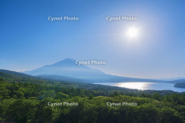 パノラマ台より富士山の夕景を望む [OYO110006759]