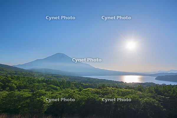 パノラマ台より富士山の夕景を望む [OYO110006760]
