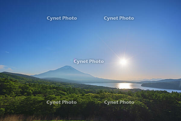 パノラマ台より富士山の夕景を望む [OYO110006761]
