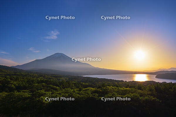 パノラマ台より富士山の夕景を望む [OYO110006762]