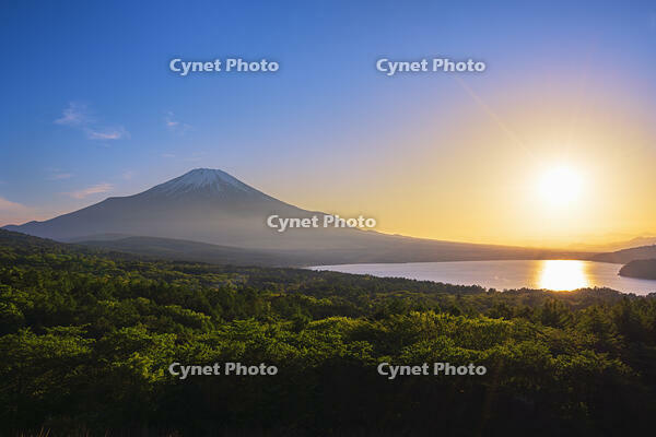 パノラマ台より富士山の夕景を望む [OYO110006763]