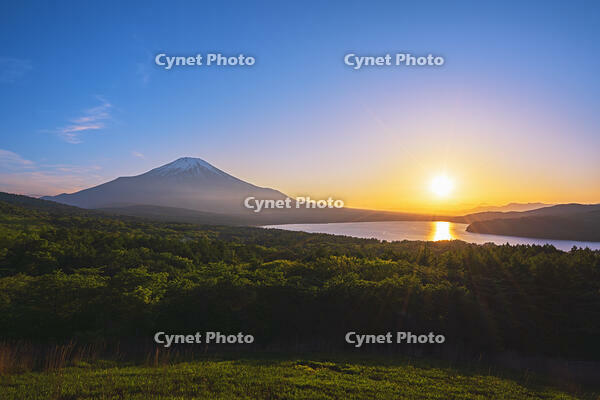 パノラマ台より富士山の夕景を望む [OYO110006764]