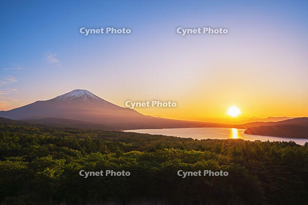 パノラマ台より富士山の夕景を望む [OYO110006765]