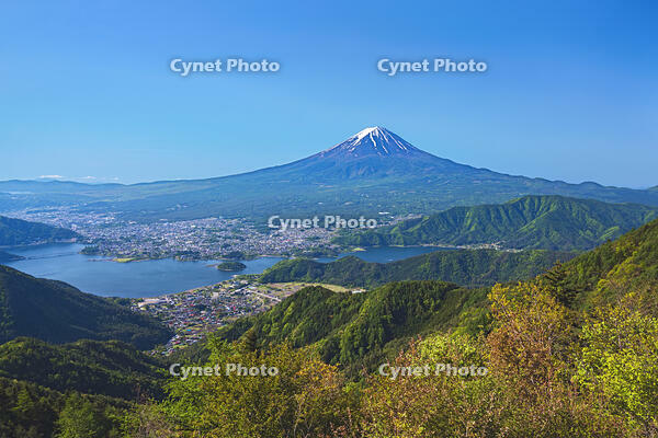 新緑の新道峠より河口湖越しに富士山を望む [OYO110006776]