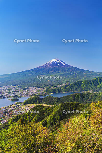 新緑の新道峠より河口湖越しに富士山を望む [OYO110006778]