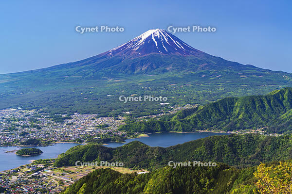 新緑の新道峠より河口湖越しに富士山を望む [OYO110006779]