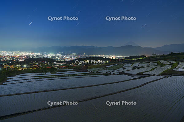 棚田越しに富士山の夜景を望む [OYO110006804]