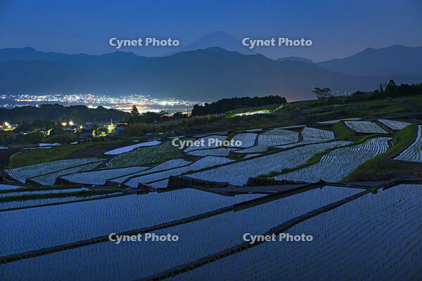 棚田越しに富士山の夜景を望む [OYO110006805]