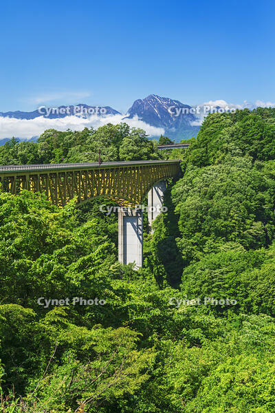 八ヶ岳高原大橋越しに南アルプスを望む [OYO110006820]