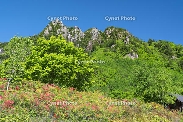 みずがきやま自然公園より瑞牆山を望む [OYO110006822]