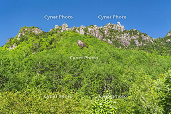 みずがきやま自然公園より瑞牆山を望む [OYO110006824]