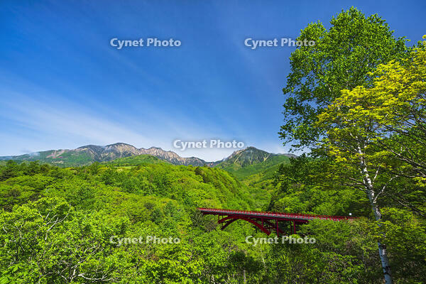 東沢大橋越しに八ヶ岳を望む [OYO110006829]