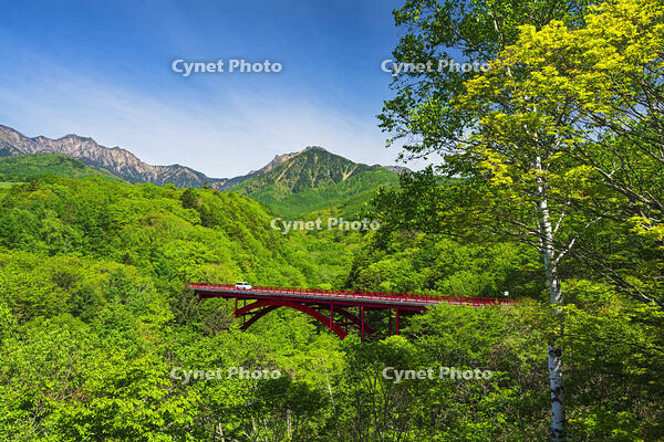 東沢大橋越しに八ヶ岳を望む [OYO110006831]