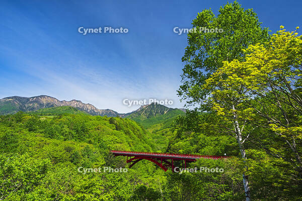 東沢大橋越しに八ヶ岳を望む [OYO110006832]