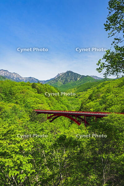 東沢大橋越しに八ヶ岳を望む [OYO110006833]