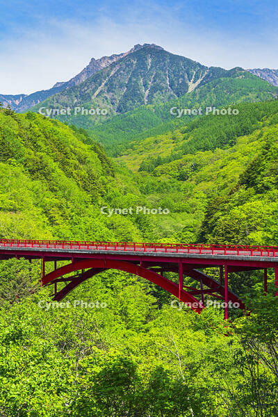 東沢大橋越しに八ヶ岳を望む [OYO110006834]