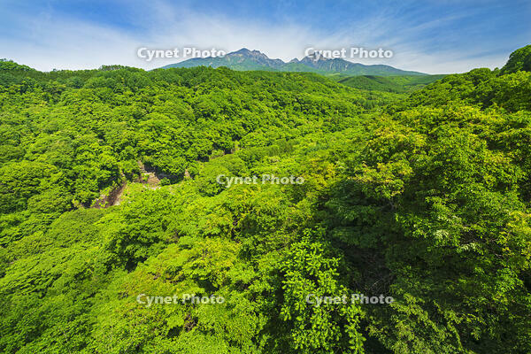 八ヶ岳高原大橋より八ヶ岳を望む　 [OYO110006836]