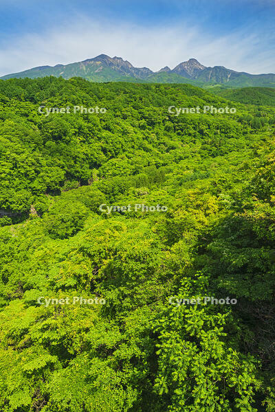 八ヶ岳高原大橋より八ヶ岳を望む　 [OYO110006837]