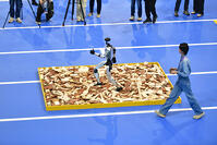 First World Humanoid Robot Games in Beijing [PST110004235]