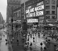 Times Square [PST110004365]