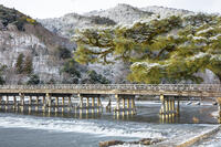 雪の嵐山　渡月橋 [MOP110102021]