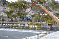 雪の嵐山　渡月橋 [MOP110102022]