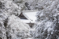 雪の西明寺　高雄 [MOP110102024]
