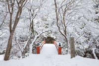 雪の西明寺　指月橋　高雄 [MOP110102025]