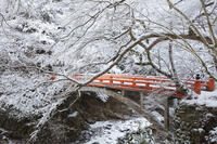 雪の西明寺　指月橋　高雄 [MOP110102027]