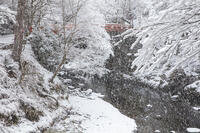 雪の西明寺　指月橋　高雄 [MOP110102028]