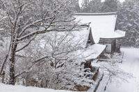 雪の神護寺　高雄 [MOP110102036]