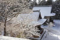 雪の神護寺　高雄 [MOP110102037]