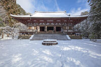 雪の神護寺　金堂　高雄 [MOP110102038]