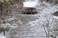 雪の神護寺　高雄 [MOP110102039]