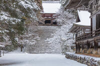 雪の神護寺　高雄 [MOP110102040]