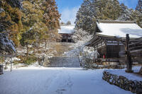 雪の神護寺　高雄 [MOP110102041]